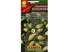 ��������� ���������� 8 ���. 2 ��.