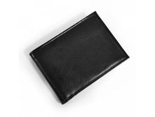 009258 big 30710 1.jpg