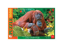 ���� 1000 ��. ���������� 202,69.jpg