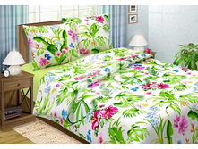 ����� (540).