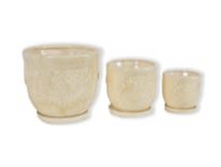 ����� ������� ������ �����