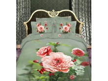 15882 kpb-rs-123.jpg