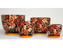 205J ������