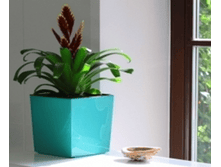 ���� ����������� ������ � �������� 250*250*250