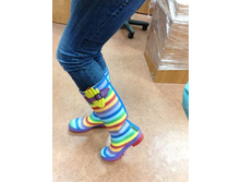 ��� ����