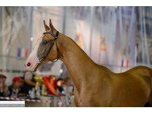 10645241 1400231120199369 3850743195005819634 n.jpg