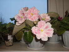 ������ "�� ���������� ����"