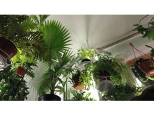 ��� ���� ������� ������ ..))))