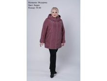 ���� 3100�