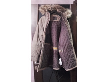 ������ ������