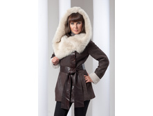 D-5 ��������