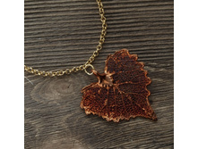 ������� "���� ������" ����, ���������.