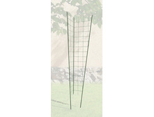 ������� ����� �������