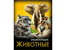 1448449060 da78316b0bd073339bf0a0dac970874e.png