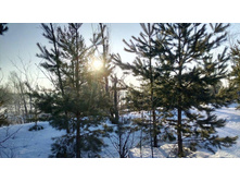 Photo 2016-02-28 19-31-24.jpg