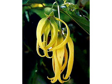 ������� ����� �����-������ 107+%. � ������� 3 ��.jpg