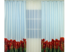 �������� ���� ���� � ���������� ����������, ���� 1050 ���