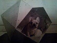 IMG 20160212 182404.jpg