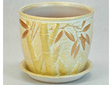 ������.����