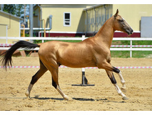 3129 1433684062.1392.jpg