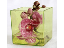 ������������������� �����