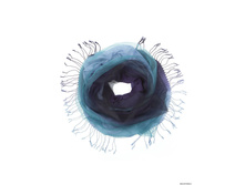 TISF362 - �����.jpg