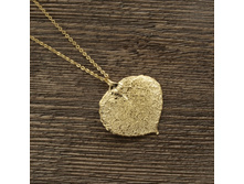 ����� "���� �����" ������, ���������. �����