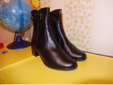 ����������� ����. ������ 37: 3100 ���