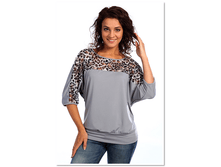 Big cat e60bb17664a645e9bd1698bcb056dc91.png