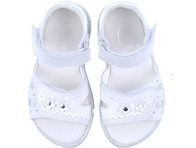 �������� ��� ������� (�����), 752042,  2196-2306 ���. �����! 2021-2122 ���.