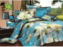 4011 ��������.jpg