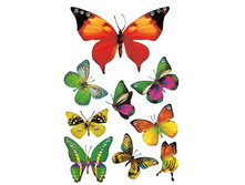 �������� �������� 16�9��, Magic. �������� ������� 60,85.jpg