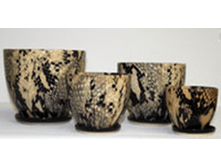 251CZ ������