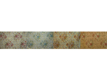 ������ �����