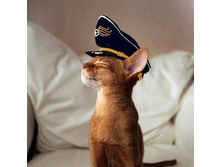 ������-������� ���