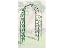 ���� ������� (�������)