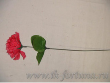 20-1974� �������� 25 ��., D=6*3 ��., �������, �����, 4.25