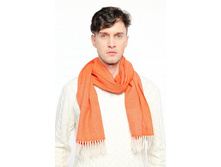 SCR01818-009. ������. 30�160 ��. Ga-ll-ie-ni. ������. 2218 ���.jpeg