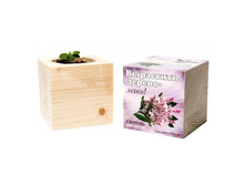 ������ ���-700x700.jpg