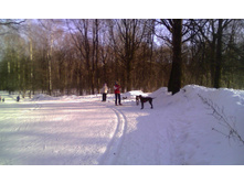 ������ ���