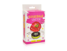 �D-129	��������� ��������� ���� ������		����	165	���.