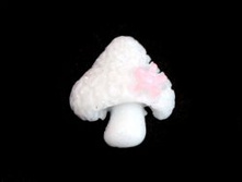 1854-02500 20�� 332.jpg