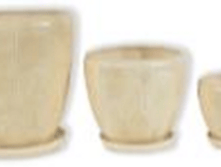 ����� ������� ������ �����