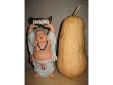 ����� �������� 5,5��