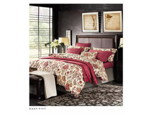 18108 kpb-sds-49.jpg