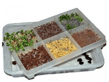 ������������ �������. ���. ����.PNG