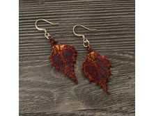 ������ "���� ������" ����, ���������.