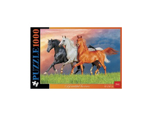 1000��2 13357.jpg