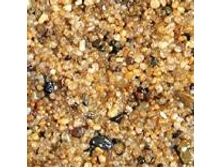 ����� ������