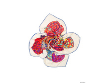 SHSA344 - �����.jpg